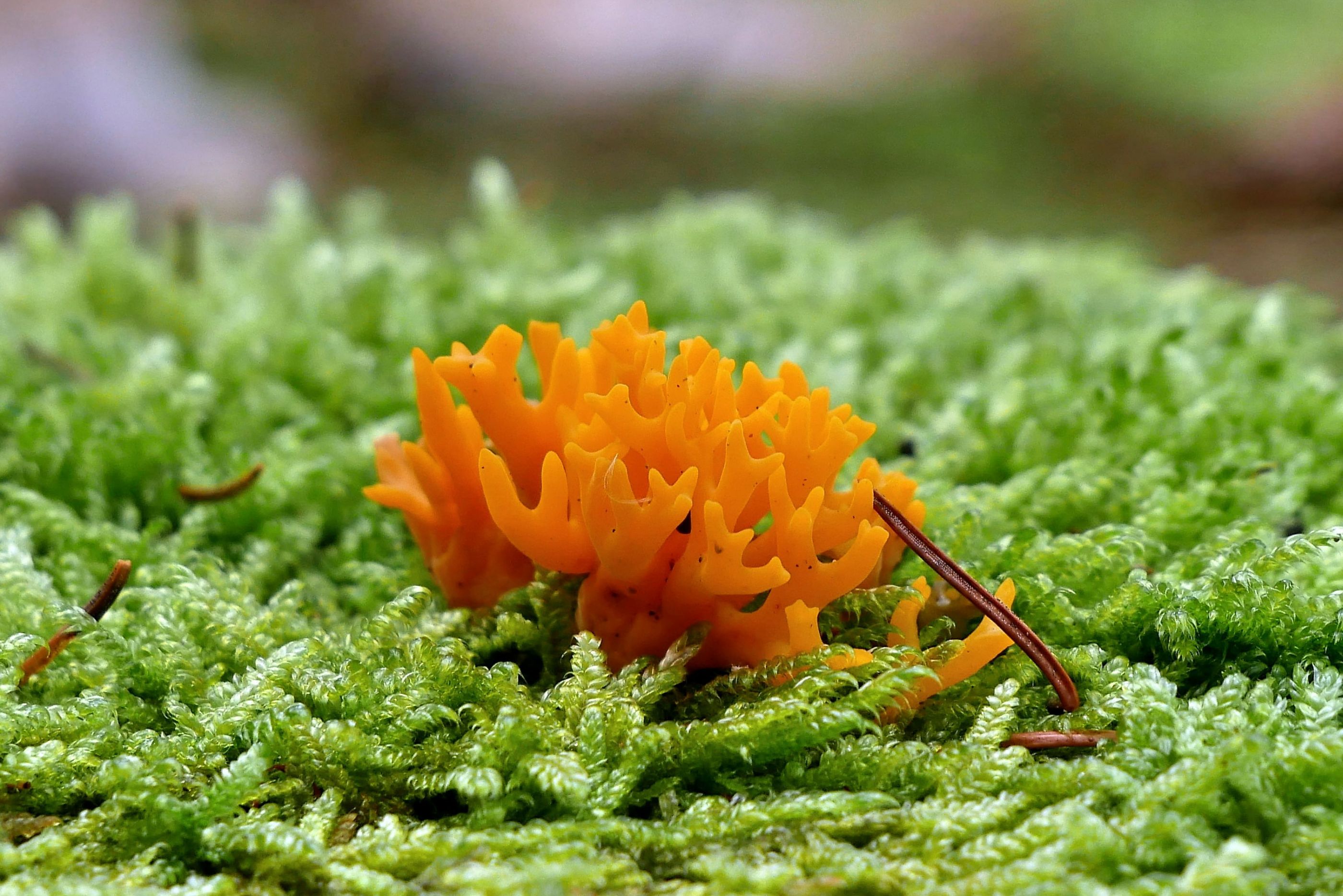 7-10-2021 15-46-30_0025